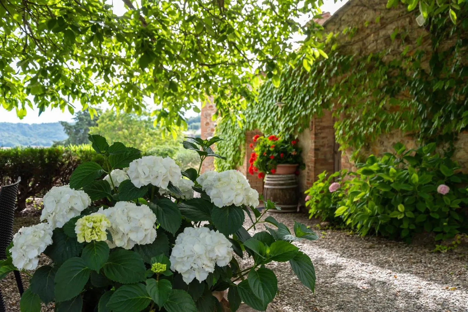 La Palazzina Villa Murlo Farm stay